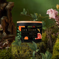 Load image into Gallery viewer, Mandarin + Citrus Agave Candle