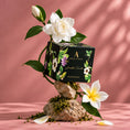Load image into Gallery viewer, MAUI NUI : Plumeria + Gardenia Candle