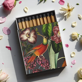 (BOX DESIGN B)